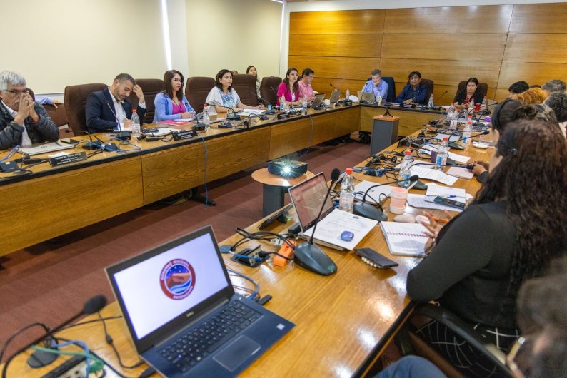 Consejo_Regional_de_Antofagasta.png