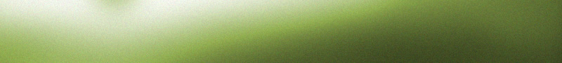 top-tags01.jpg